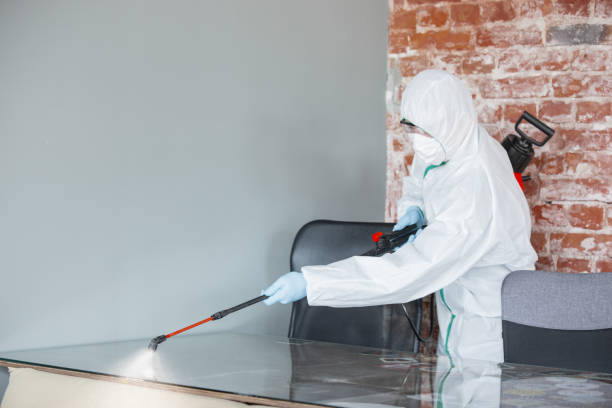 Why You Should Choose Our Mold Remediation Services in Sunbury, PA