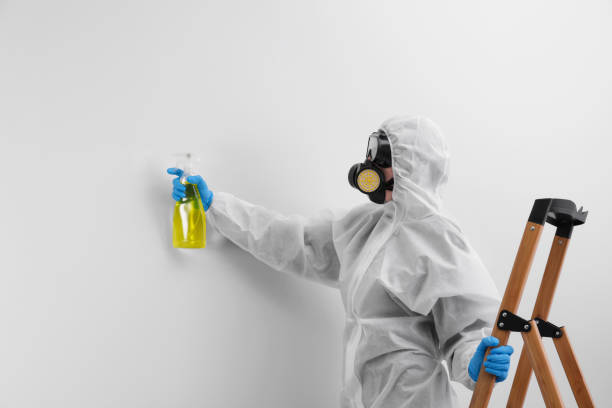 Best Biohazard Mold Removal in Sunbury, PA